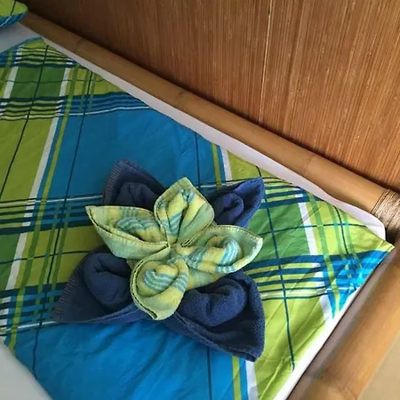 Ferienwohnung Strauch Rust